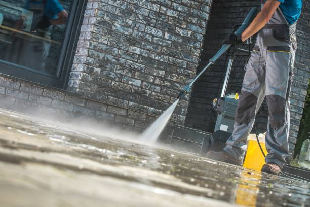 Animal Enclosure Cleaning in Palisades Park, NJ